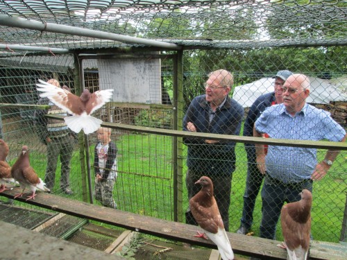 DSC-hokbezoek-eigen-leden-2017-043